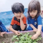 کودکان در حال چیدن سبزی از باغچه مهد کودک درنا در لاهیجان
